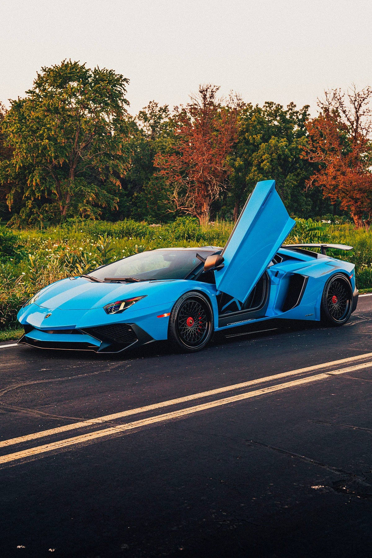  C020 (3pc) | Lamborghini Aventador SV